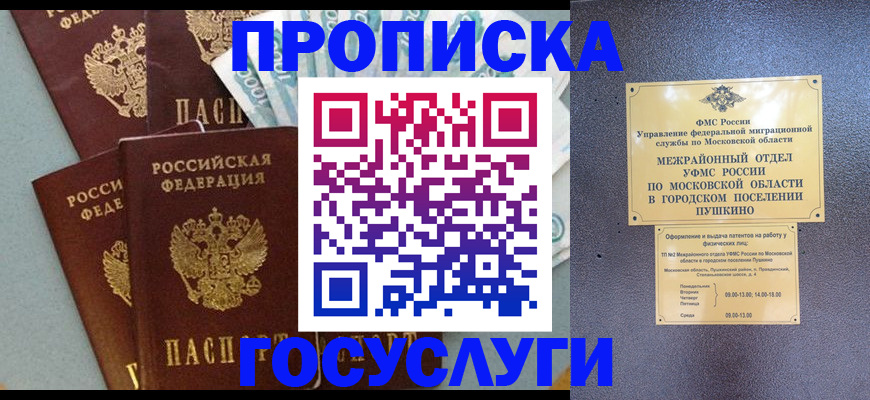 прописка гарантия в Димитровграде